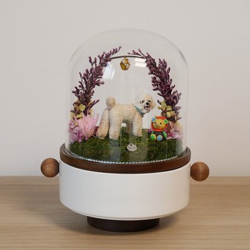Manyu 寵物訂製骨灰罐 拱門永生花 玻璃罩 寵物紀念座