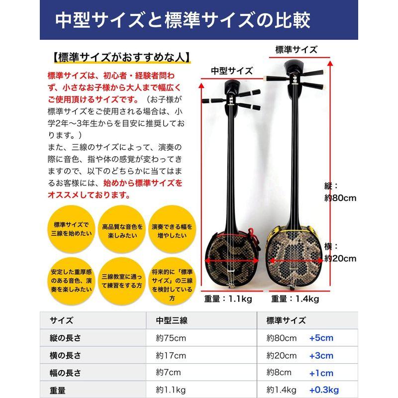 三線 中型サイズ沖縄三線 初心者用シンプルセット海の声・糸・ハナミズキ 楽譜付属