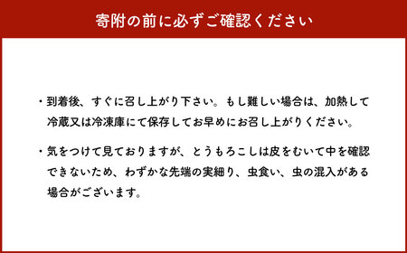 SDGs米糠堆肥で作ったベビーコーン50本