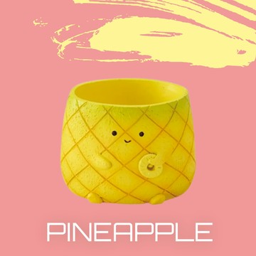 【拼肉肉】肉肉植物園-日本進口旺旺來鳳梨多肉植物盲盒（植物隨機出貨，三吋盆穩根）