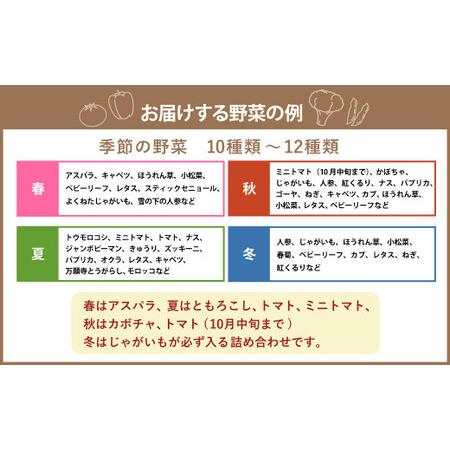 ふるさと納税  おまかせ旬野菜セット 旬 野菜 セット 北海道 北広島市 北海道北広島市