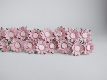 紙花，50 朵 DIY 小雛菊花，尺寸 2.00 厘米，淺胭脂色