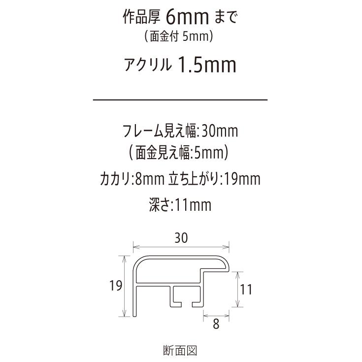 横長の額縁 アルミフレーム CF シルバー 横長Ｄ サイズ700X350mm