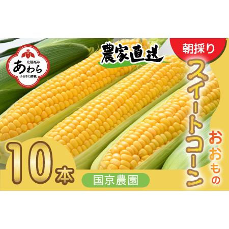 ふるさと納税 朝採り スイートコーン 黄色 計10本 おおもの ／ ハウス栽培 低農薬 有機肥料 フルーツ並みの甘さ 甘い とうもろこ.. 福井県あわら市