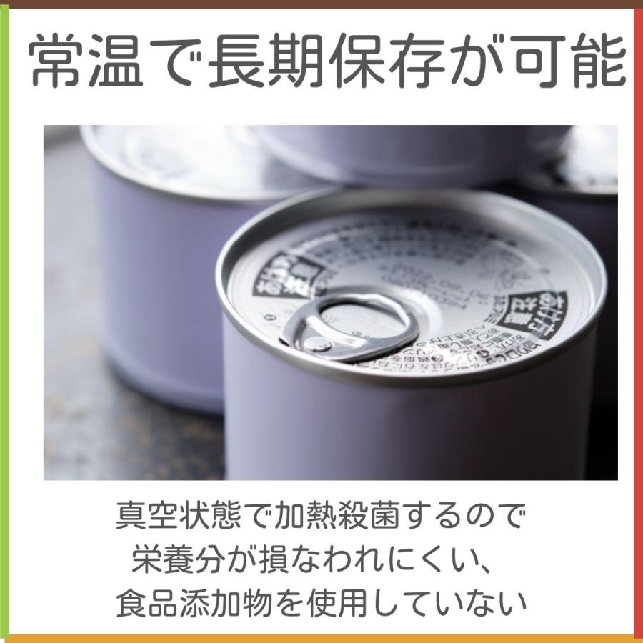 たけのこカレー 4種類4缶セット