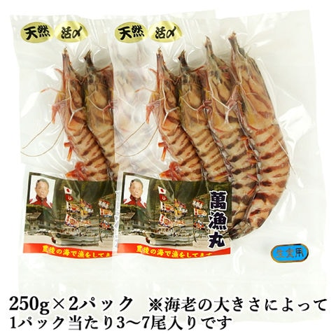 大分県産 漁師直送！豊後水道天然車えび活〆(生食用) 250g×2パックセット(１パック3～7尾程度) 急速真空冷凍 天然物 クルマエビ 萬漁丸