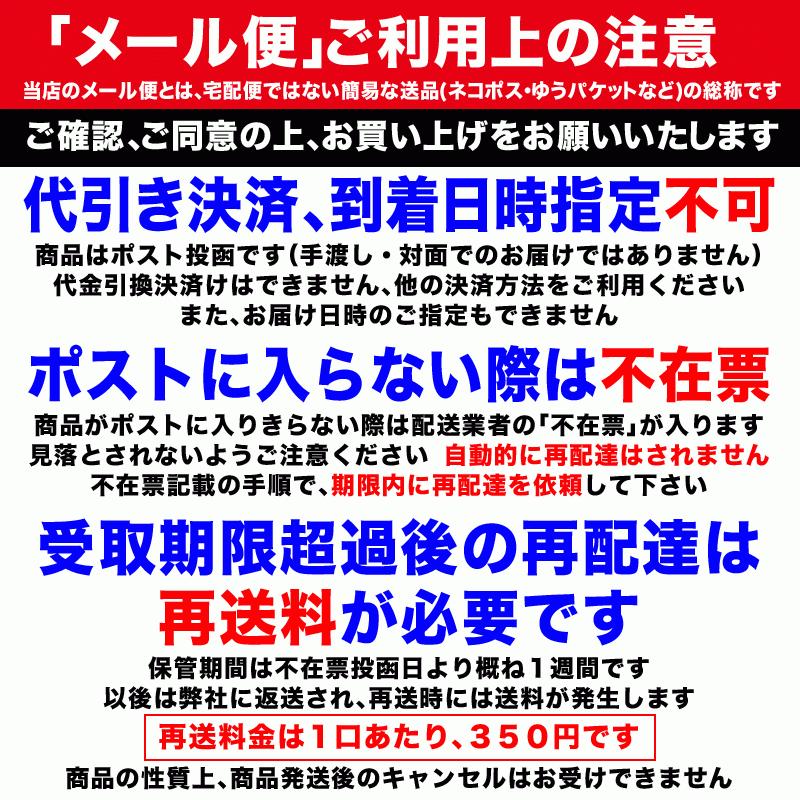 ナッツ 薄皮付き 特大 カシューナッツ 無塩 ロースト500g×1袋メール便限定 送料無料