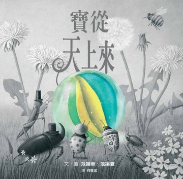 寶從天上來【二手書_良好】TAAZE讀冊生活