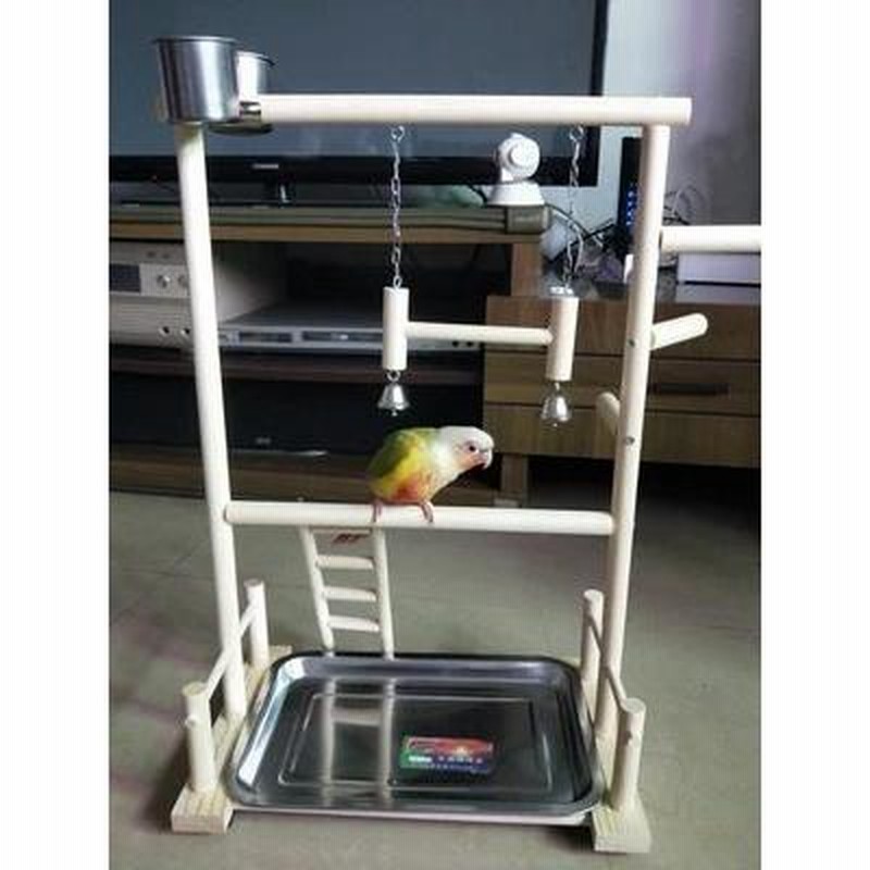 オウムにもインコにも♪ 止まり木スタンド 遊び場 ペット 文鳥