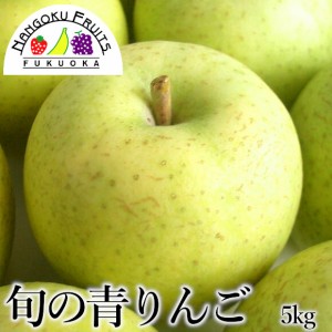 旬の青りんご　約5kg（16～20玉）