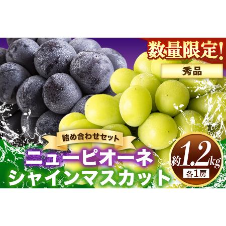 ふるさと納税 岡山県産 秀品 ニューピオーネ シャインマスカット 詰め合わせ 約1.2kg 2房 《9月中旬〜11月上旬頃に順次出.. 岡山県矢掛町