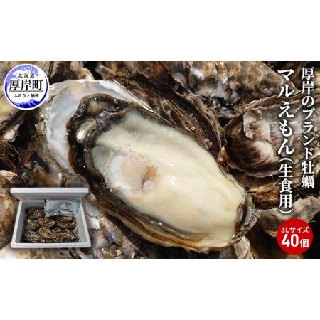 ふるさと納税 牡蠣 厚岸のブランド牡蠣 マルえもん 3Lサイズ 40個 生食用 北海道厚岸町