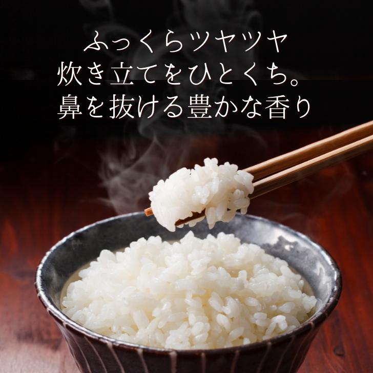 新米 5年産 新潟 米 コシヒカリ 新潟 コシヒカリ 5kg 美味しい お米 5kg 新潟産 受注してから精米します 白米 精米 減農薬 農家 直送 ギフト 内祝い プレゼント