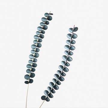 葉葉 | 革植家飾 - 長尾鐵線蕨 55cm