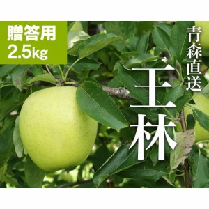 RED APPLE 青森直送 12月上旬より順次出荷王林 贈答用 約2.5kg りんご 林檎 リンゴ 特産品 青森 贈答 プレゼント