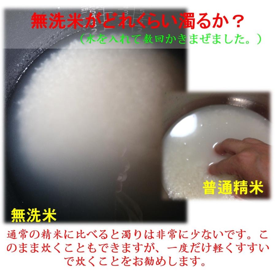 令和5年産新米　減農薬　新潟コシヒカリ玄米10kg（真空パック）　新潟県三条市旧しただ村産　新潟県認証　特別栽培米100%　偽装も混米も無し　グルテンフリー