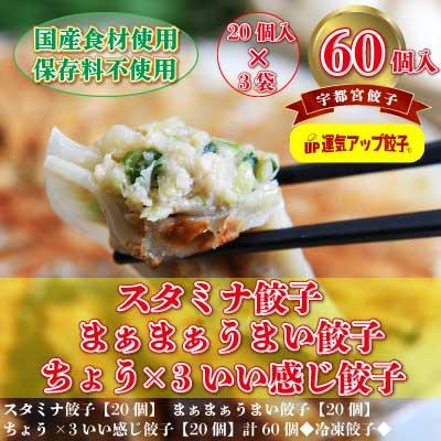 ふるさと納税 宇都宮市 宇都宮餃子　豚餃子3種類(合計60個)　保存料不使用