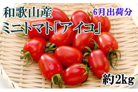 和歌山産ミニトマト「アイコトマト」約2kg（S・Mサイズおまかせ）