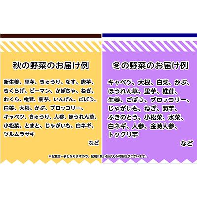 ふるさと納税 井原市 井原市産!旬の農産物(野菜・果物等)詰合せ7品以上　全4回