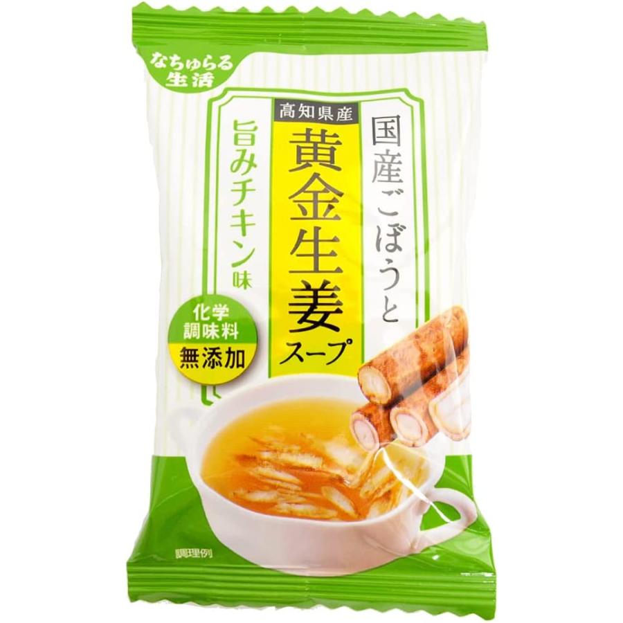 イー有機生活　お湯を注ぐだけ　国産ごぼうと高知県産黄金生姜スープ　旨みチキン味　40食分