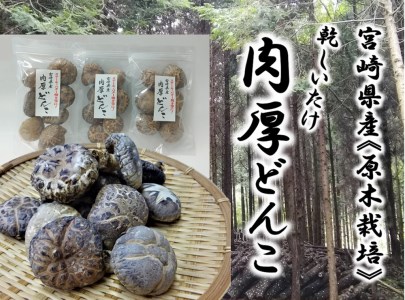 椎茸問屋本吉　宮崎県産 原木栽培 乾しいたけ 肉厚 どんこ(70g×3袋)計210g [本吉 宮崎県 日向市 452060106]