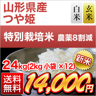 新米 令和5年(2023年)産  山形県産 つや姫＜13年連続特Ａ評価＞ 24kg (2kg×12袋) 白米・玄米 即日出荷は白米のみ