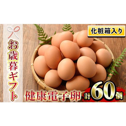 ふるさと納税 鹿児島県 いちき串木野市 SA-141 健康電子卵（鶏卵）6パック 60個入り