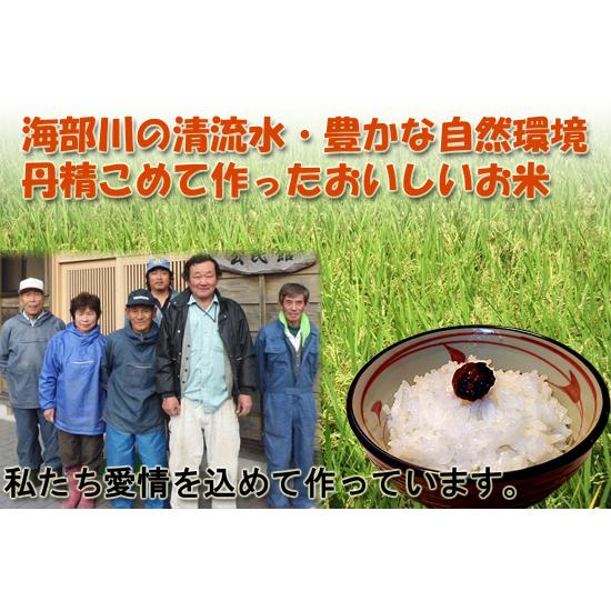 米5Kg 送料無料 特別栽培米 徳島県産 あわみのり 精米 令和5年産 新米
