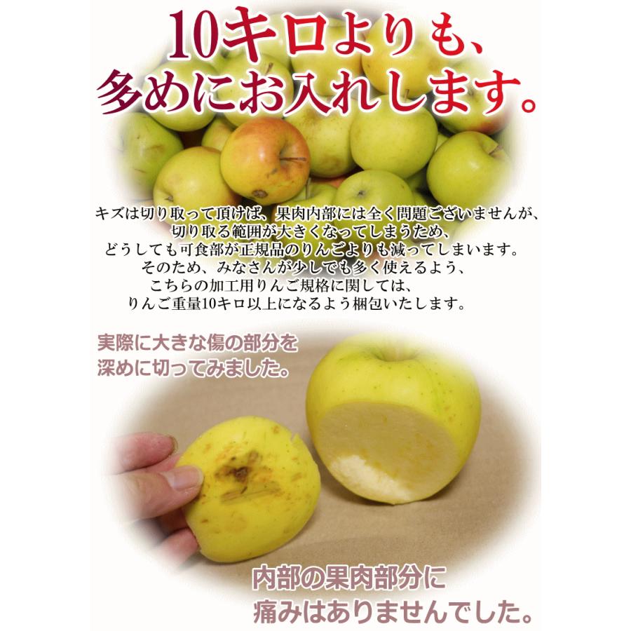 あすつく 青森 りんご 10kg箱 訳あり 加工用 選べる品種 送料無料 あすつく リンゴ 10キロ箱★品種選べる 加 10kg箱