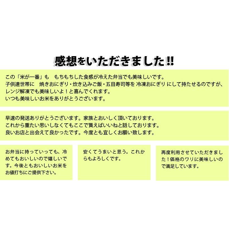 食べ比べセット ポイント消化 送料無料 お試し 米 お米 お試しセット こしひかり ブレンド米 白米 500g 米が一番