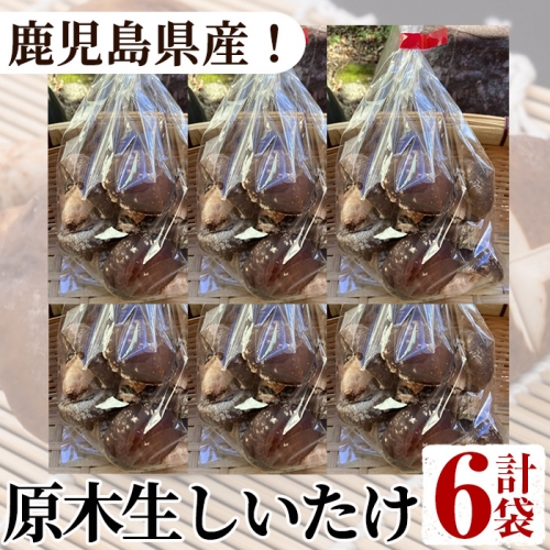 数量限定！原木生しいたけ(6袋・計1.2kg)国産 椎茸 シイタケ きのこ 個包装 2-288