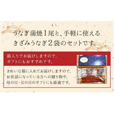 ふるさと納税 南九州市 鹿児島県産うなぎ蒲焼1尾きざみうなぎセット