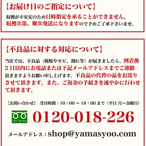 送料無料 フルーツパパイヤ 沖縄 スーパーフード1.8kg前後(2-3個入) 国産 沖縄産(ギフト 贈り物 パパイヤ フルーツ トロピカル)