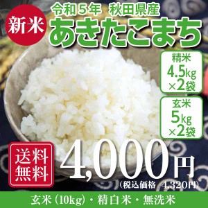 送料無料！！　あきたこまち 玄米10kg（精米後9kg） 令和5年秋田県産