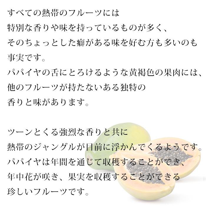 パパイヤ ハワイ産 レモン2個付き 約4kg