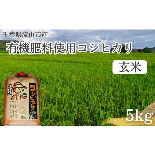 ふるさと納税 千葉県 流山市 コシヒカリ 米 5kg 有機肥料  玄米