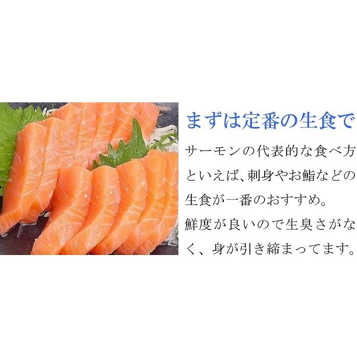 サーモン 刺身 約2kg 冷凍 生食用 半身 トラウト 生食 手巻き 寿司 海鮮 料理 切り身 プレミアムグレード