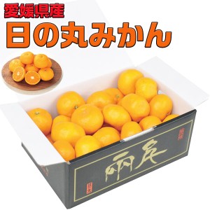 お歳暮 愛媛みかんギフト 愛媛県産 日の丸みかん 2.5kg 予約｜ 愛媛県産日の丸みかん２．５ｋｇ（良品・Ｓ～Ｌサイズ）…