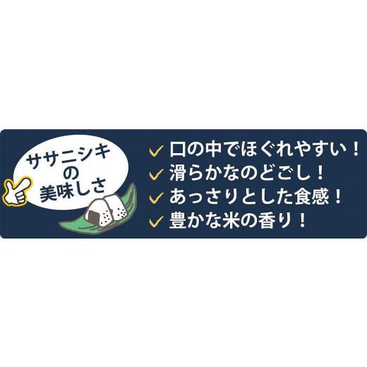 ふるさと納税 宮城県 登米市 宮城県登米市産ササニシキ精米27kg（9kg×3袋）