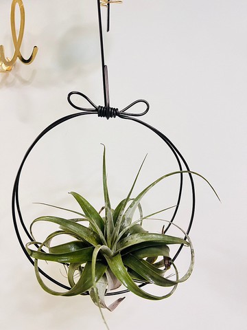 蝴蝶結大型空鳳專用吊架 空間佈置 交換 畢業禮物