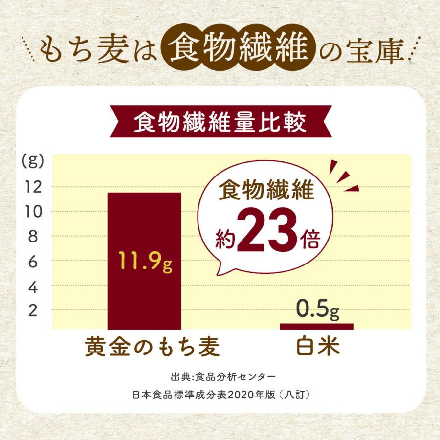 黄金のもち麦 5kg (500g×10個)もち麦ごはん もち麦 国産 九州産 機能性表示食品