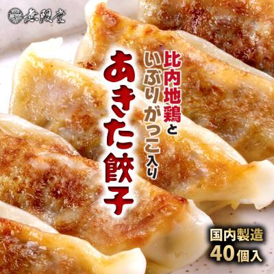 ふるさと納税 秋田市 あきた餃子(40個)