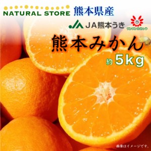 [予約 2024年1月1日必着] 熊本みかん SML 約5kg 熊本県産 熊本 JA熊本うき 産地箱 お正月必着指定 お年賀 御年賀 冬ギフト