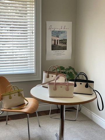 韓國 The Ally | Amy bag 에이미백 | 帆布質感包 (附小袋)