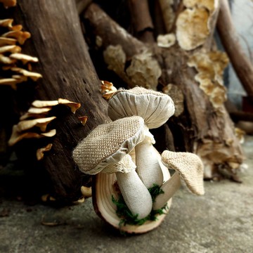 小蕈菇文青壁掛