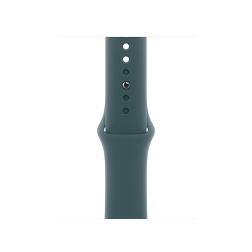 Apple 42 公釐湖綠色運動型錶帶 - M/L