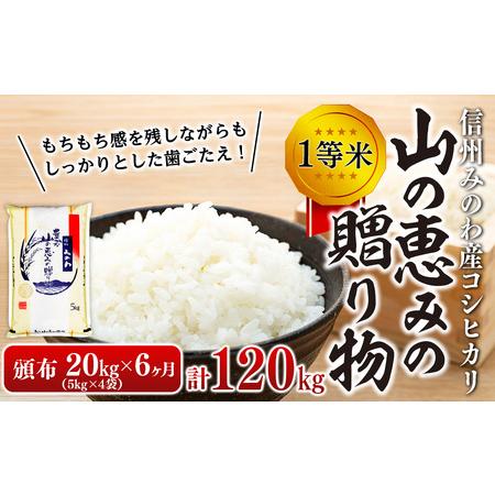 ふるさと納税 ６ヶ月連続お届け 定期便 信州産 コシヒカリ 1等米 「山の恵みの贈り物」 20kg(5kg×4袋) 計120kg （ お米 コシ.. 長野県箕輪町