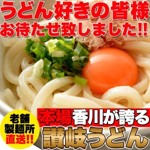 鎌田醤油特製ダシ醤油6袋付き!!讃岐うどん6食分600g（300g×2袋）