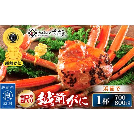 ふるさと納税 浜茹で 越前がに 約700〜800g × 1杯（茹で前重量） 食べ方しおり付き【雄 ズワイガニ ずわいがに かに カニ 蟹 姿 .. 福井県越前町