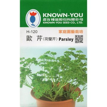 【拈花微笑】歐芹｜荷蘭芹｜香藥草種子｜200粒 非基因改造｜蔬菜｜香草植物｜有機無毒｜高發芽率｜料理香草